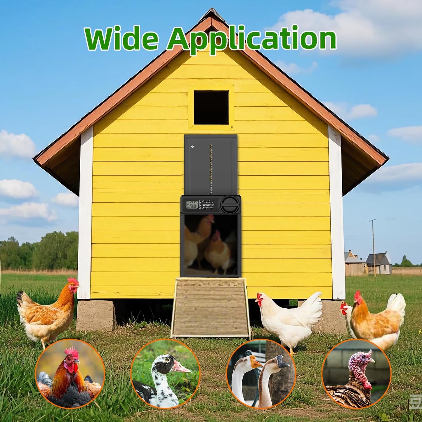 🐔🔒 Automatic Chicken Coop Door