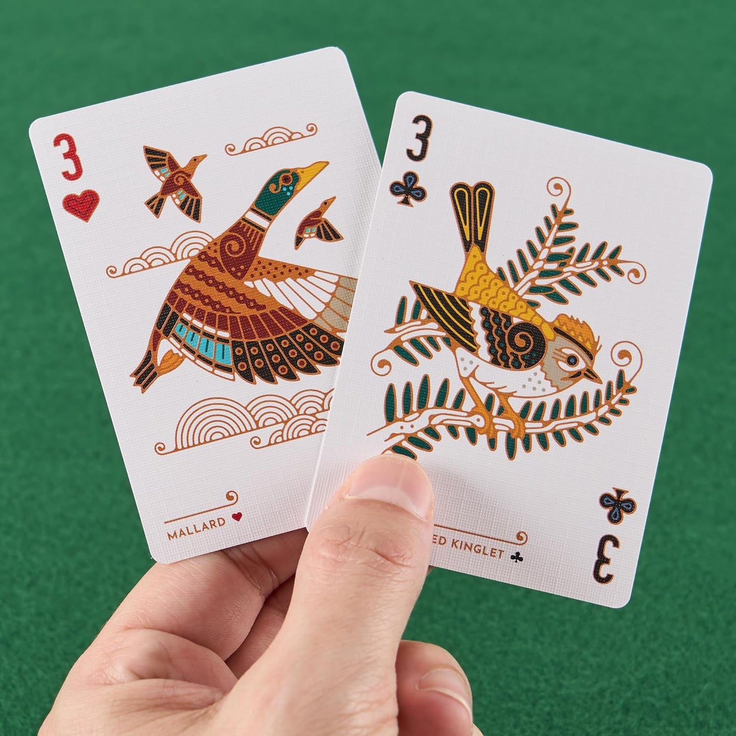 🔥🔥 North American Birds Playing Cards