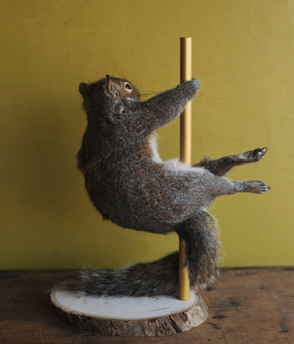 🐿️ Stripper Squirrel Sculpture (Cherry)