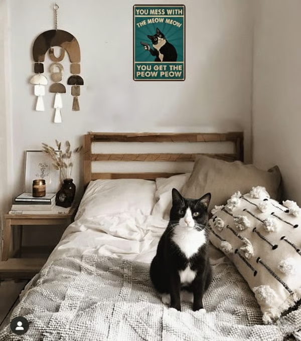 🐾 Funny Cat Retro Metal Sign