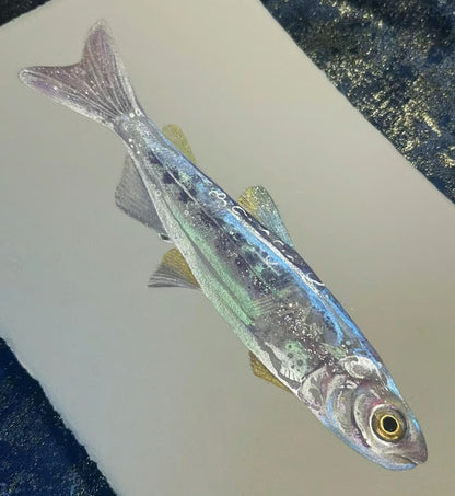 🌈 Pearlescent Watercolor Paint Set