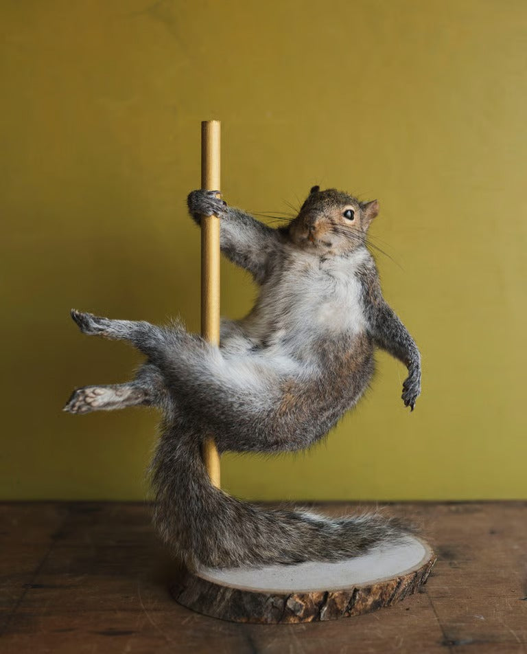 🐿️ Stripper Squirrel Sculpture (Cherry)