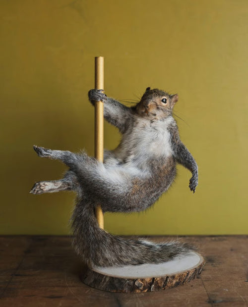 🐿️ Stripper Squirrel Sculpture (Cherry)