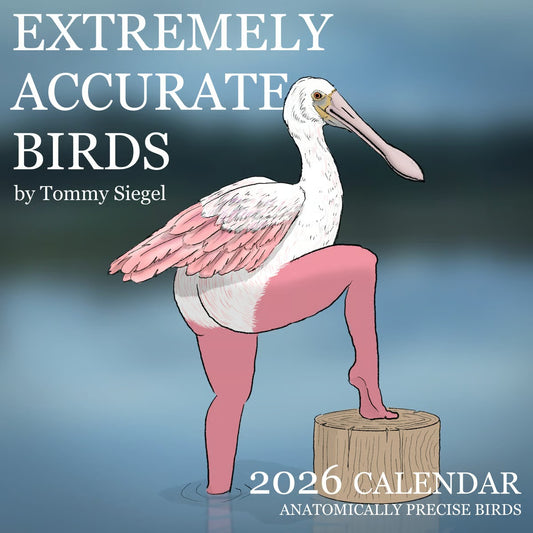🔥2026 NEW ARRIVAL🔥2026 Calendar of Extremely Accurate Birds